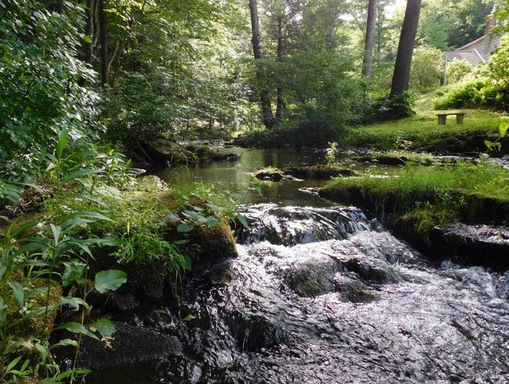 mill river from david