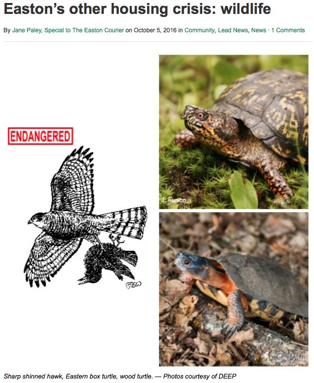 easton-courier-10-05-2016