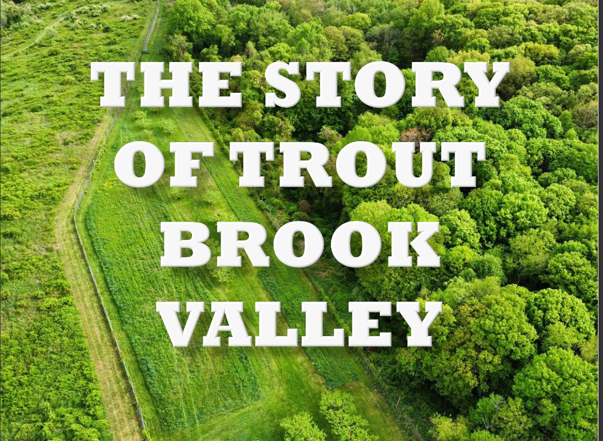 TROUT BROOK VALLEY25 YEARS LATER Citizens For Easton
